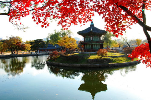 Những hình ảnh đẹp về mùa thu Hàn Quốc